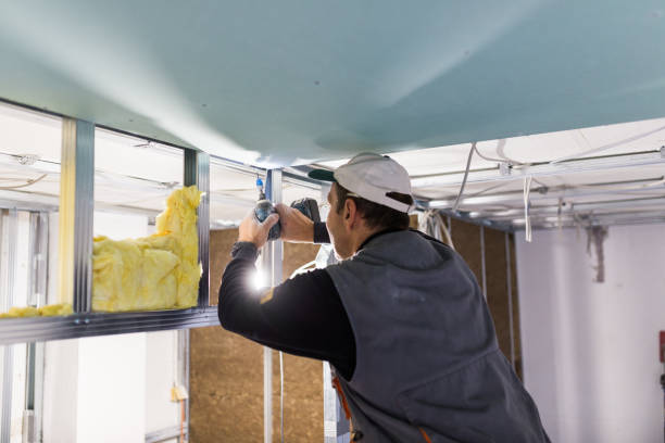 Best Fiberglass Insulation  in Williston, ND