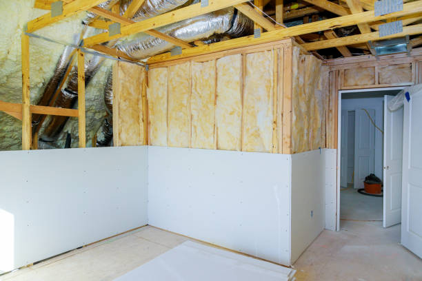 Best Attic Insulation Installation  in Williston, ND