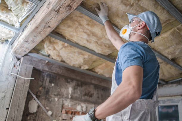 Best Wall Insulation Contractor  in Williston, ND